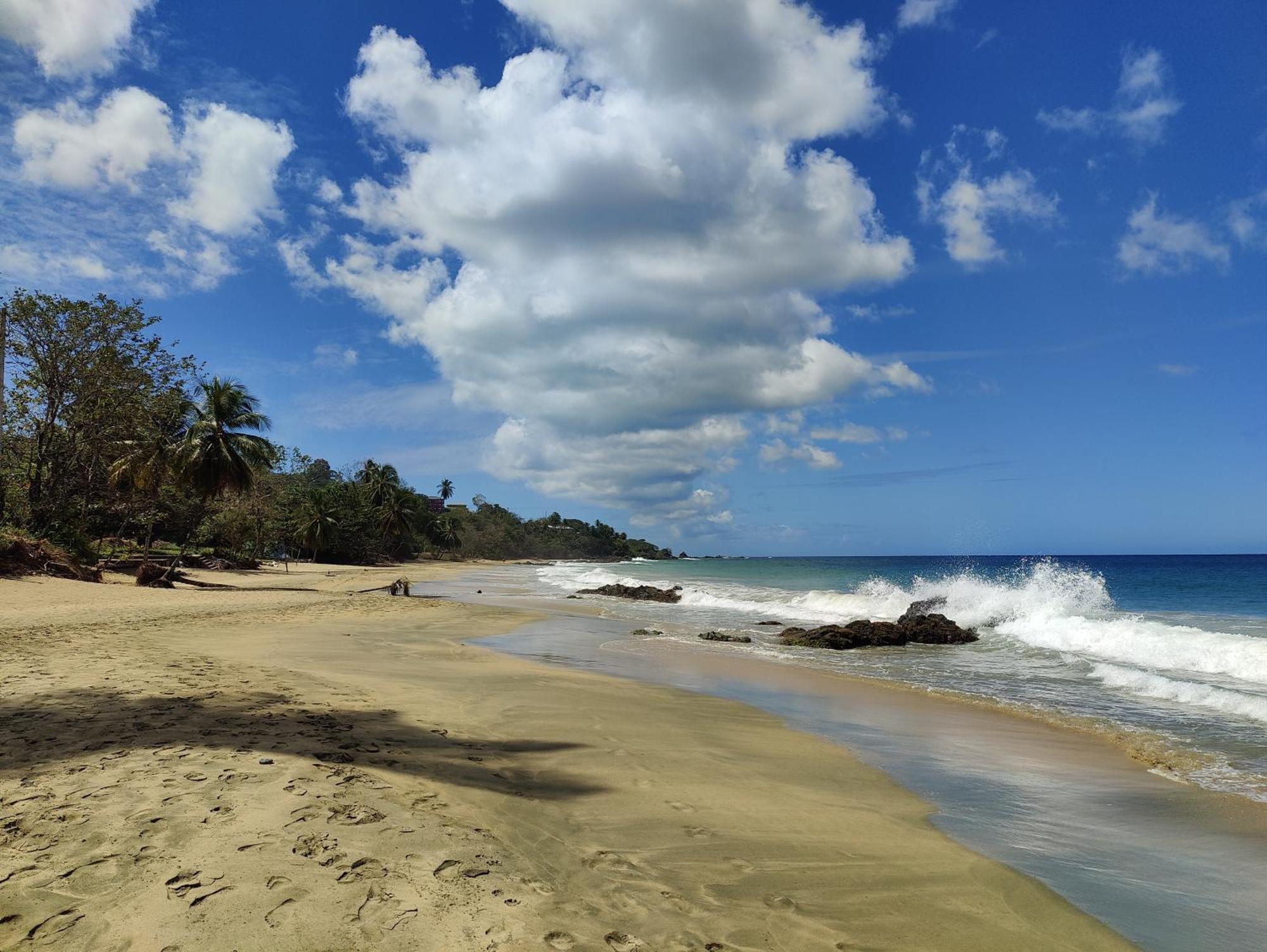 Queen Angel Suite. Stunning Apartment On Grafton Beach With Direct Beach Access Black Rock 外观 照片