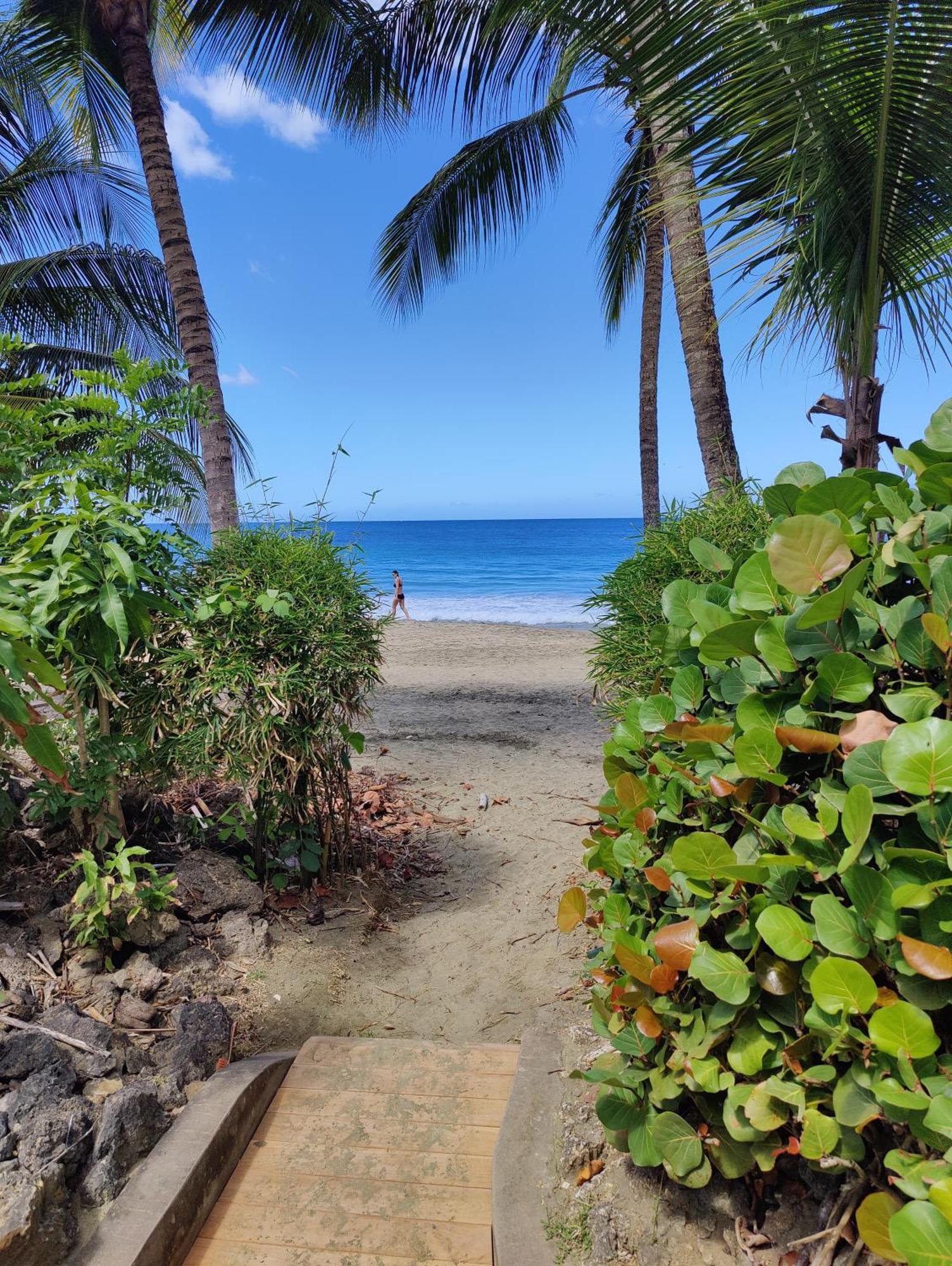 Queen Angel Suite. Stunning Apartment On Grafton Beach With Direct Beach Access Black Rock 外观 照片